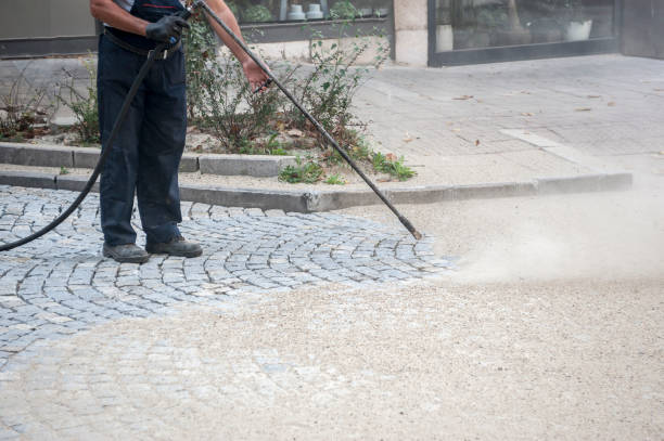 Best Pre-Holiday Cleaning  in Reston, VA